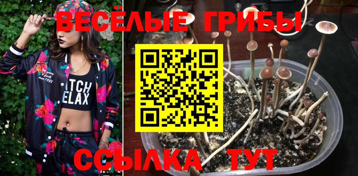 Псилоцибиновые грибы Magic Shrooms Красноуфимск