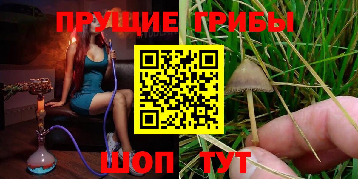 цены   Псилоцибиновые грибы Psilocybe  Вход с VPN  Красноуфимск  Галлюциногенные грибы Cubensis 